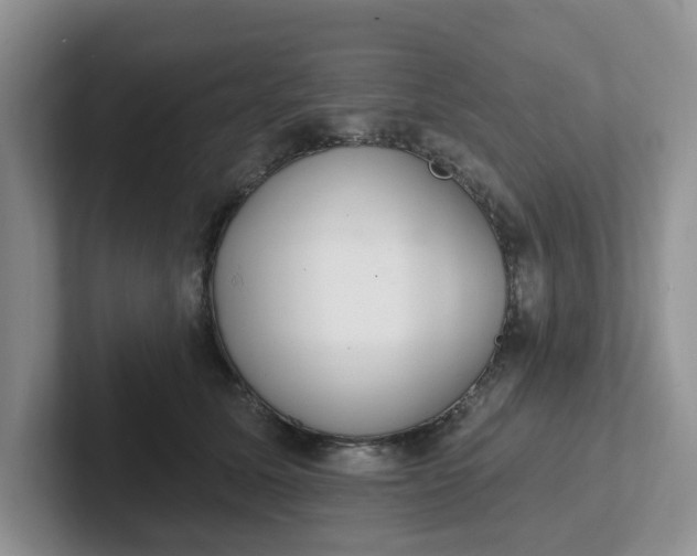 X0000102290611200808081524