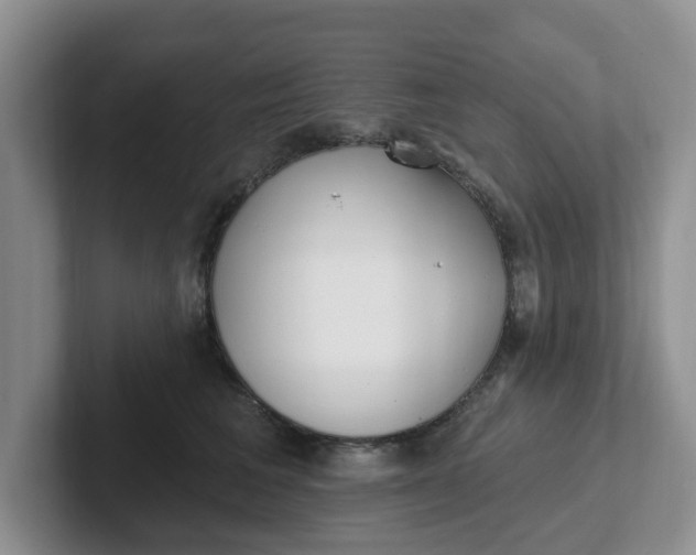 X0000102290613200808081524