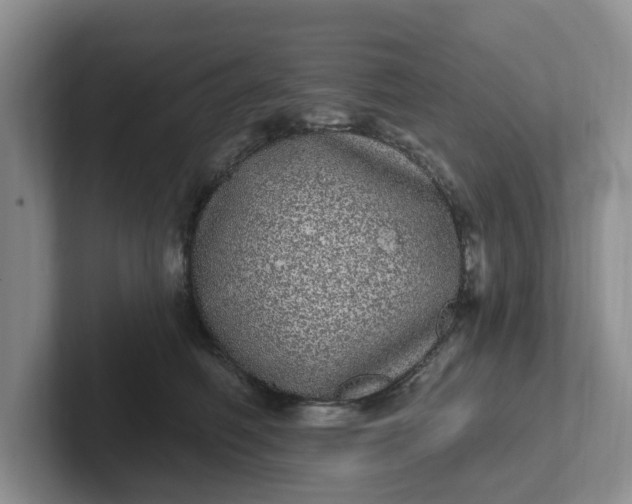 X0000102290614200808081524