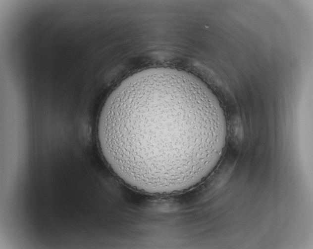 X0000102290615200808081524