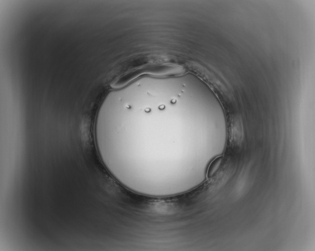 X0000102290616200808081524