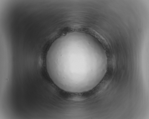 X0000102290618200808081524