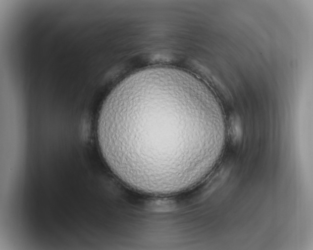 X0000102290619200808081524