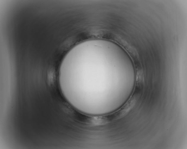 X0000102290623200808081524