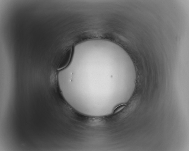 X0000102290624200808081524