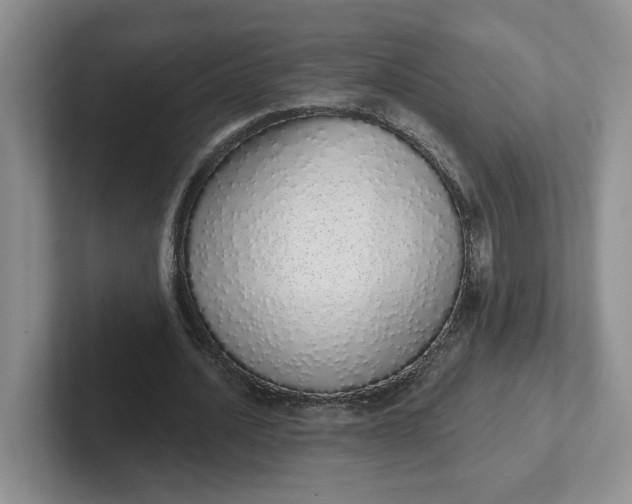 X0000102290628200808081523