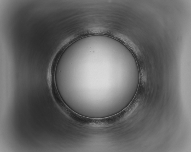 X0000102290630200808081523