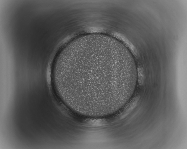 X0000102290631200808081523