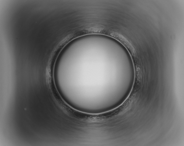 X0000102290634200808081523