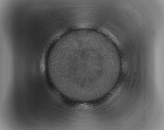 X0000102290635200808081523