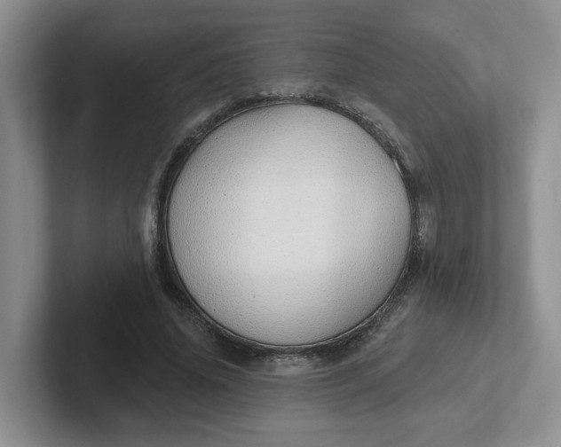 X0000102290636200808081524