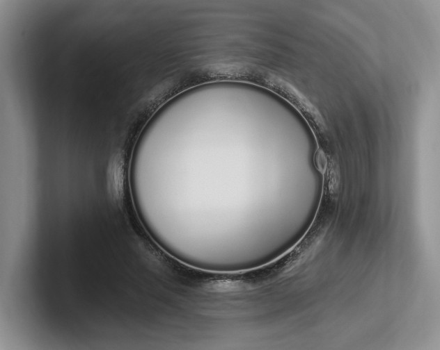 X0000102290637200808081524