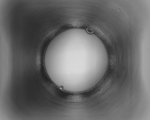 X0000102290639200808081524