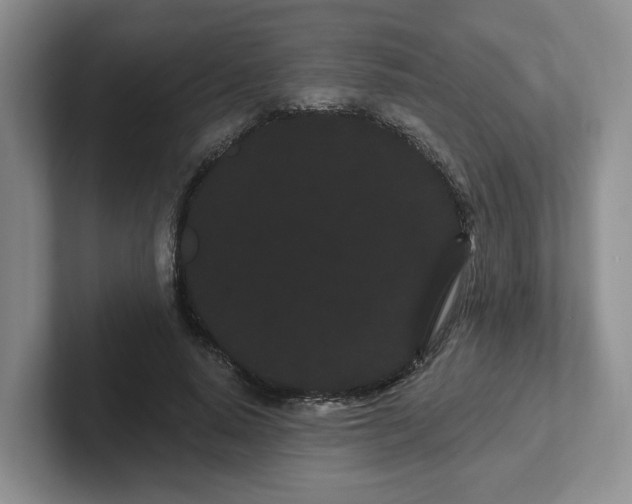 X0000102290640200808081524