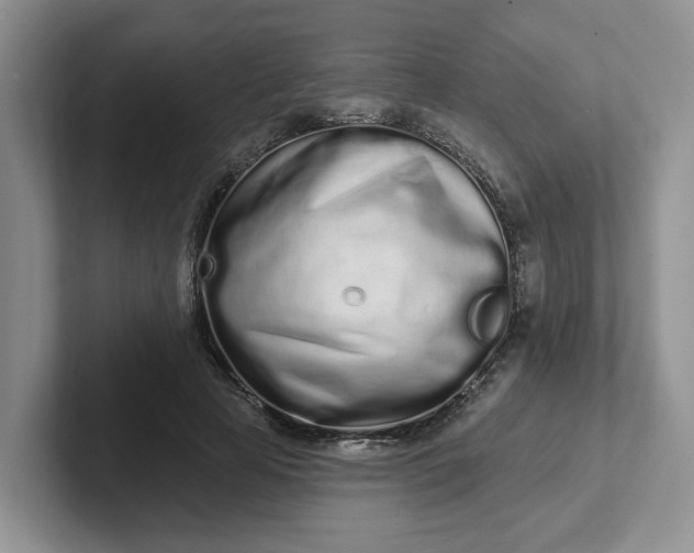 X0000102290641200808081524