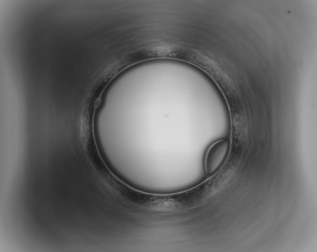 X0000102290642200808081524