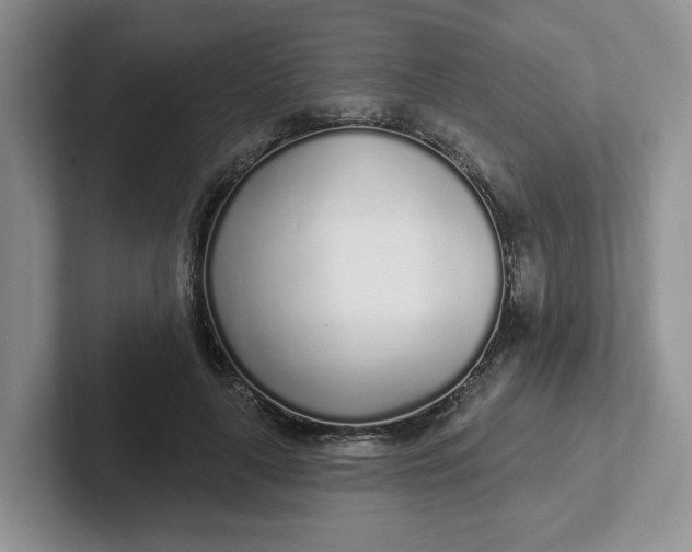 X0000102290643200808081524