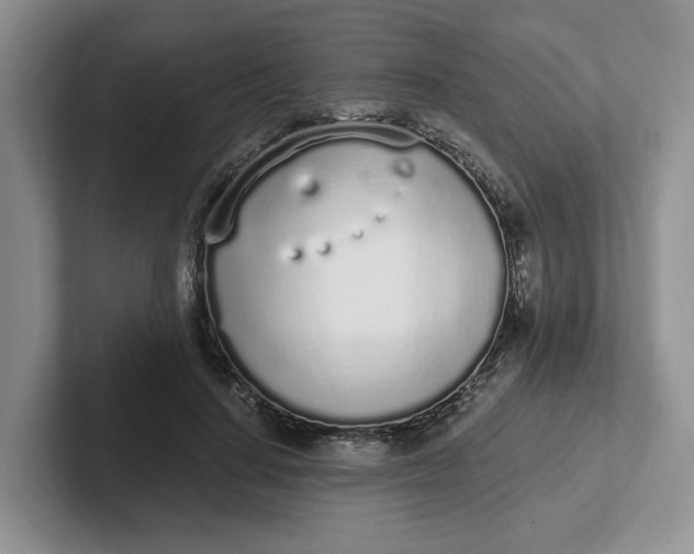 X0000102290644200808081524