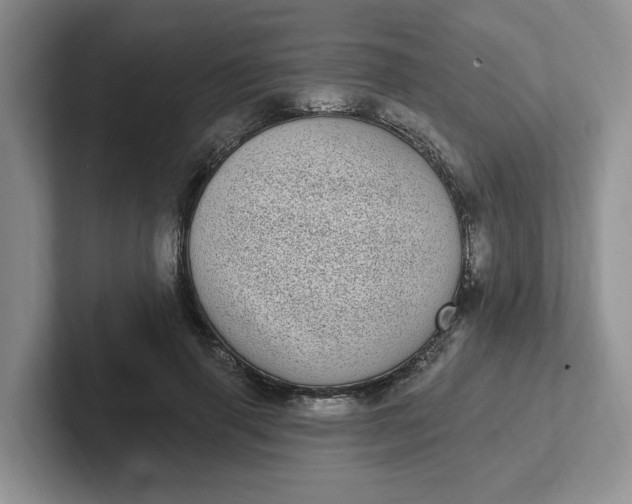 X0000102290645200808081524