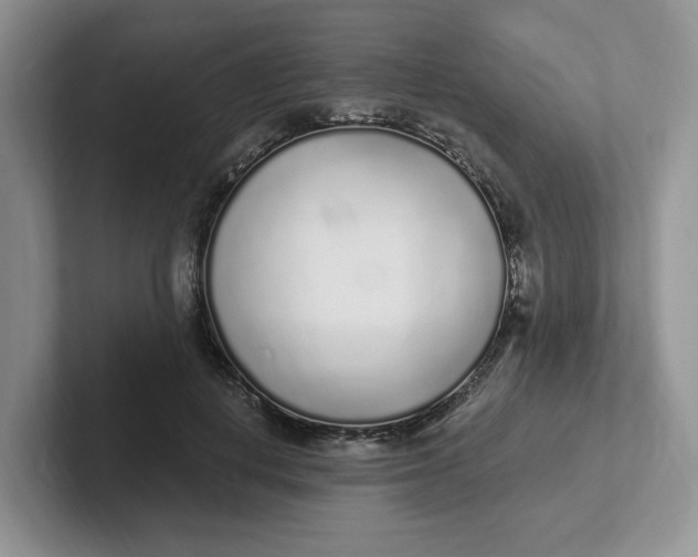 X0000102290648200808081524