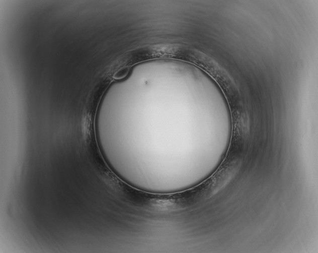 X0000102290649200808081524