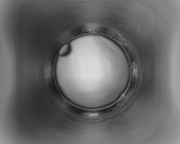 X0000102290651200808081524