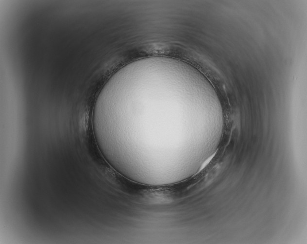 X0000102290652200808081524