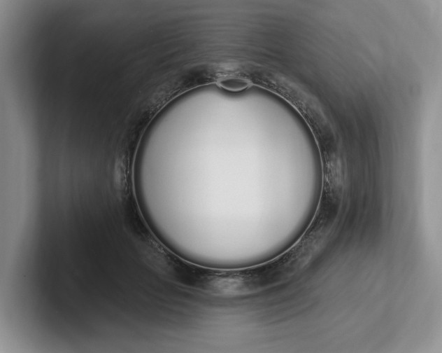 X0000102290653200808081524