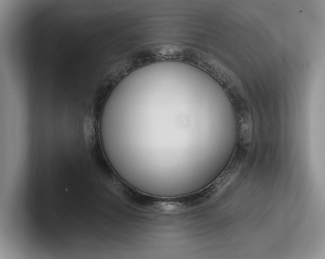 X0000102290654200808081524