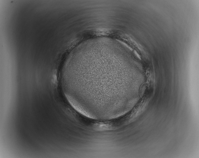 X0000102290655200808081524