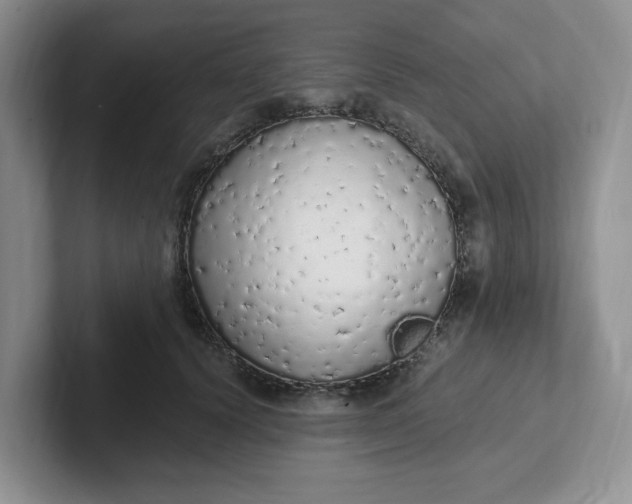 X0000102290656200808081524