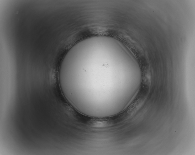 X0000102290658200808081524