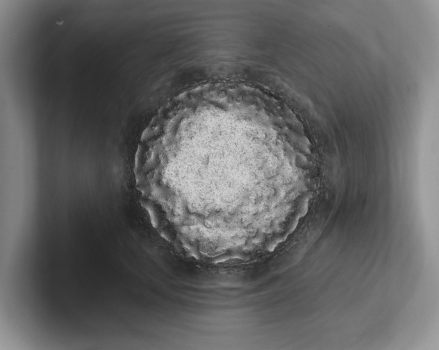 X0000102290659200808081524