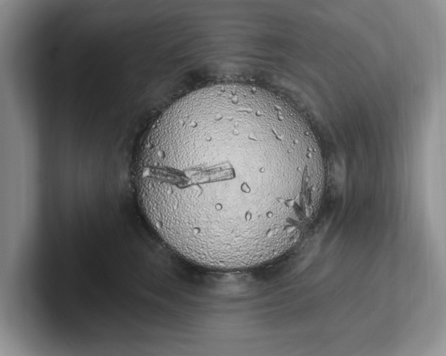 X0000102290663200808081524