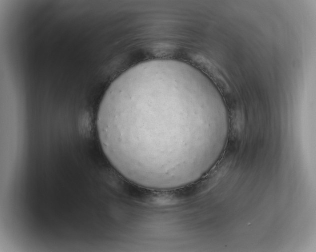 X0000102290667200808081524