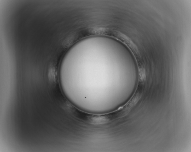 X0000102290669200808081524