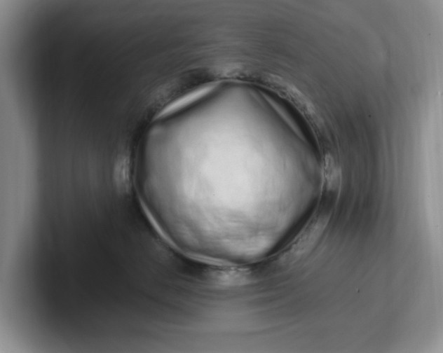 X0000102290670200808081524