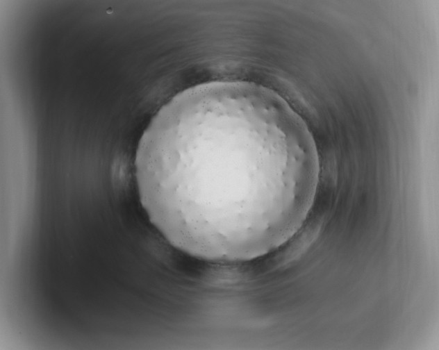 X0000102290671200808081524