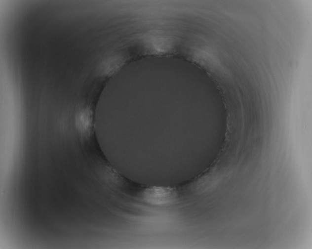 X0000102290672200808081524