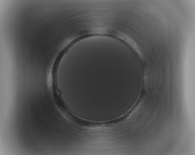 X0000102290674200808081523