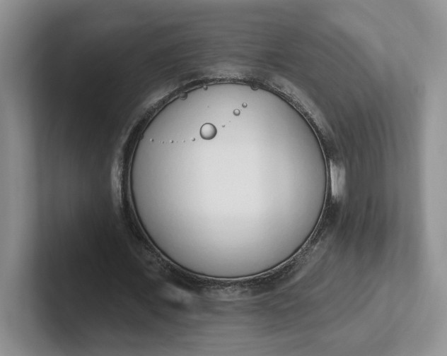 X0000102290675200808081523