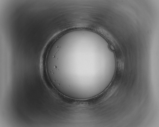 X0000102290676200808081523