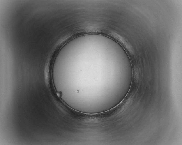 X0000102290677200808081523