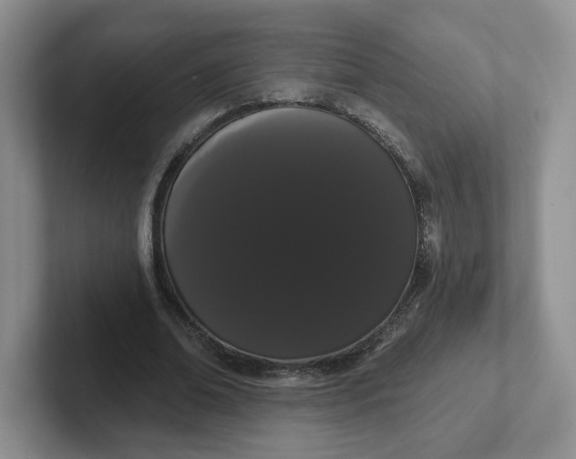 X0000102290678200808081523