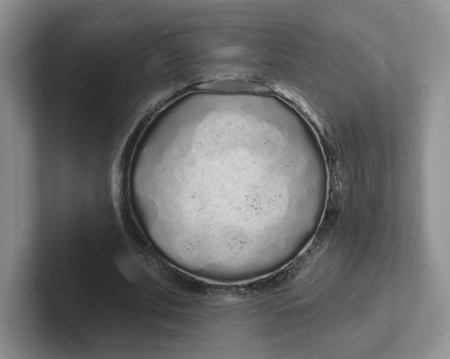 X0000102290679200808081523