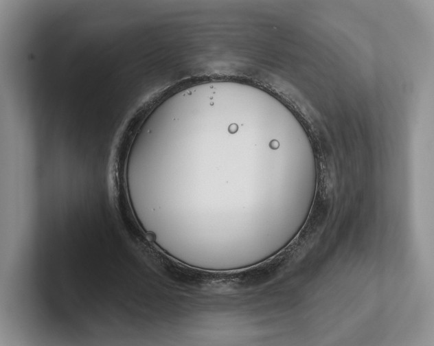 X0000102290680200808081523