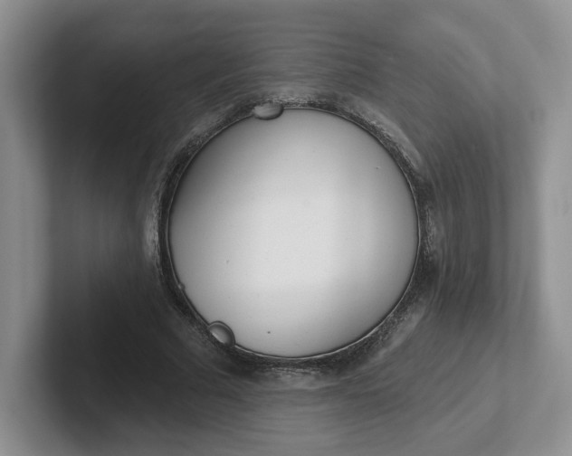 X0000102290681200808081523