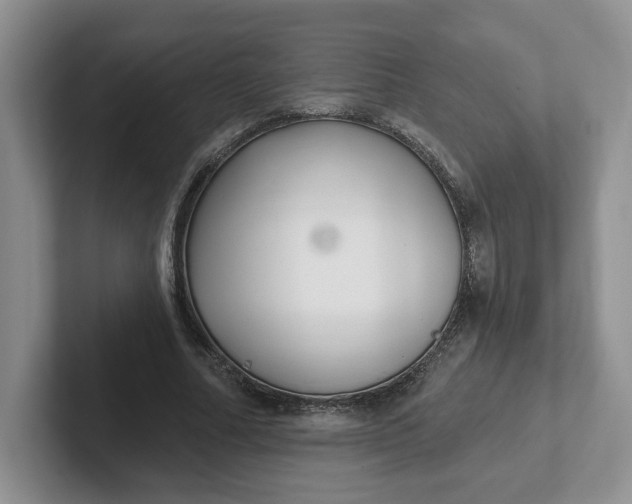 X0000102290682200808081523