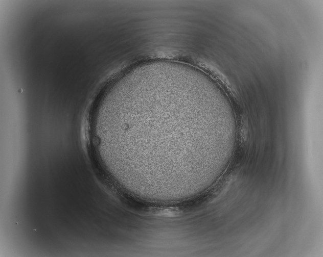 X0000102290683200808081523