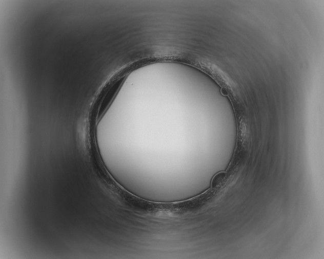 X0000102290684200808081523